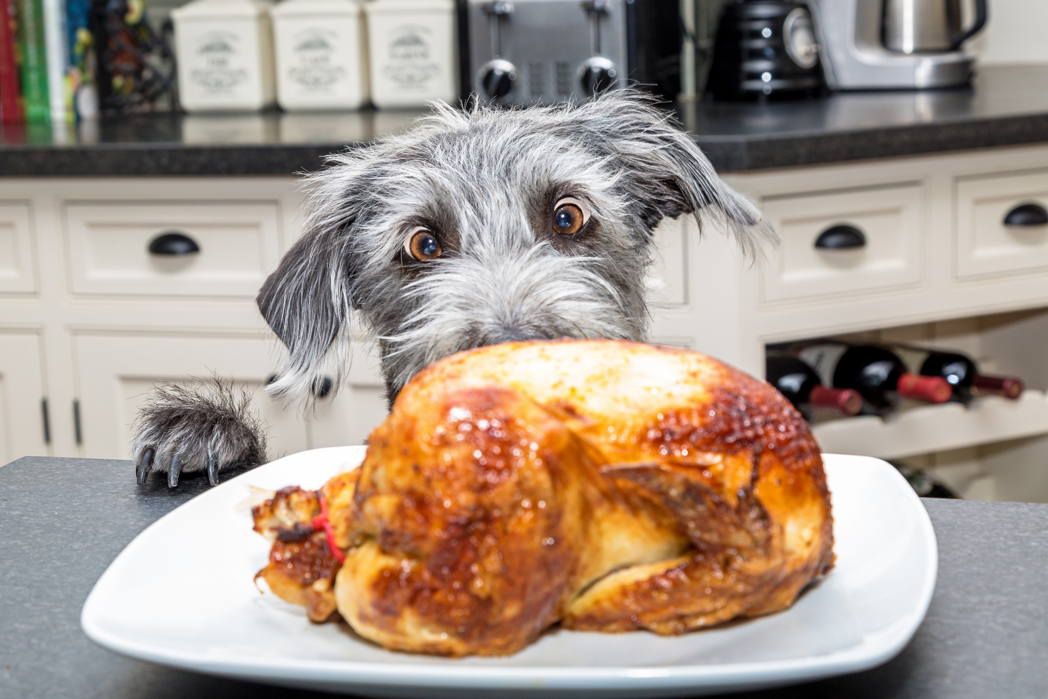 behavior modification, counter surfing